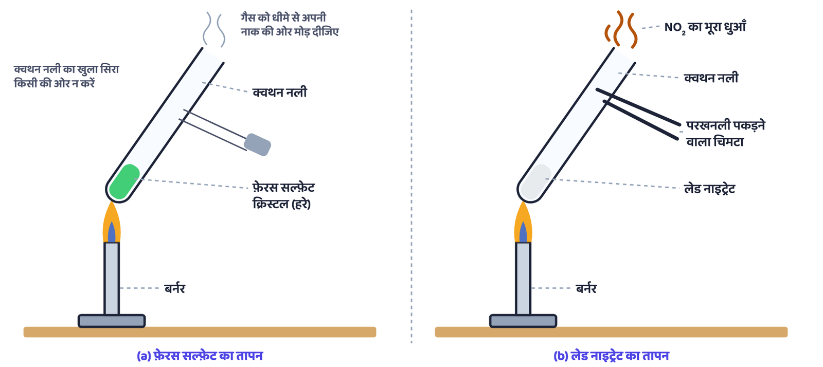 चित्र 2 (a) शुष्क क्वथन नली में फ़ेरस सल्फ़ेट क्रिस्टल को गर्म करने तथा गंध सूँघने की सही विधि: नली का खुला सिरा किसी की ओर न हो और गैस को धीमे से नाक की ओर मोड़ा जाए (क्रियाकलाप 1.5, पुस्तक का चित्र 1.4)। (b) चिमटे से पकड़ी क्वथन नली में लेड नाइट्रेट का तापन तथा नाइट्रोजन डाइऑक्साइड के भूरे धुएँ का उत्सर्जन (क्रियाकलाप 1.6, पुस्तक का चित्र 1.5)