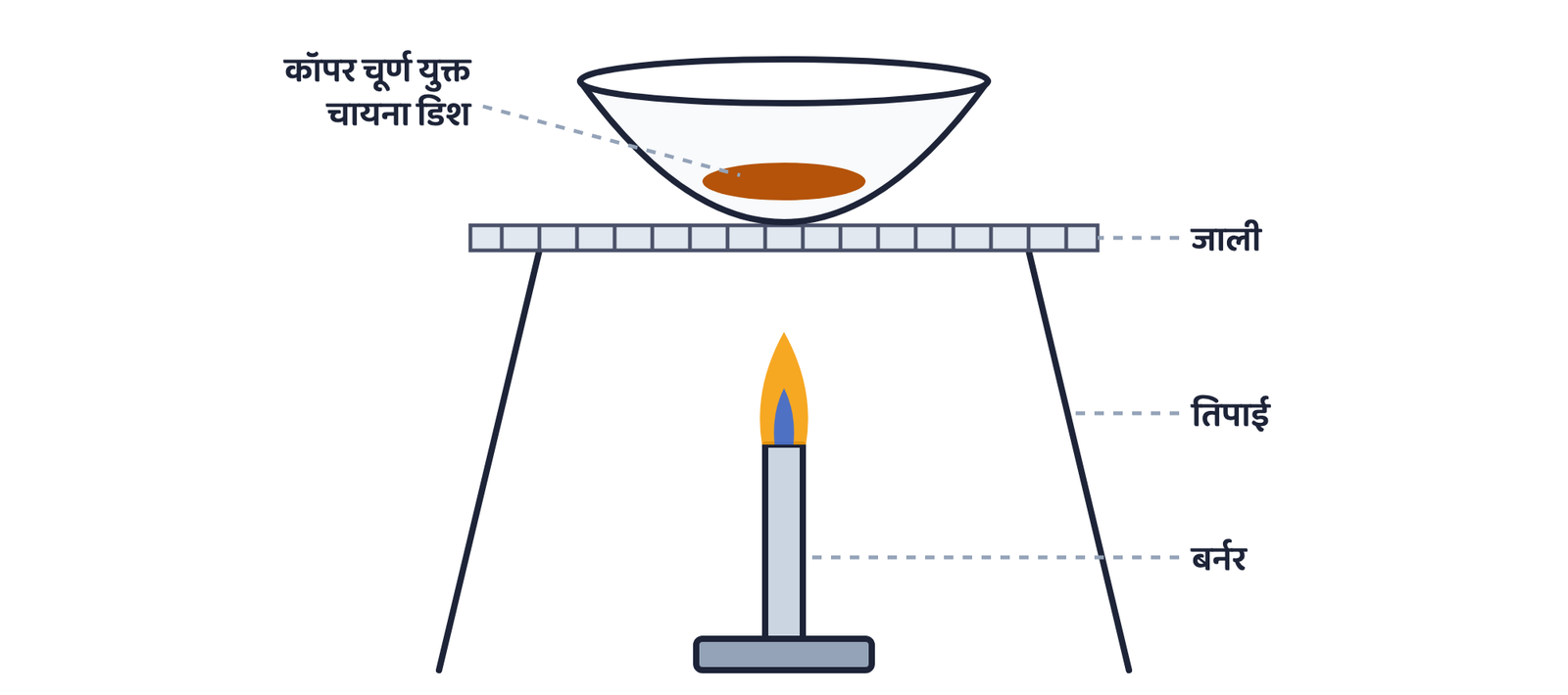 चित्र 5 जाली और तिपाई पर रखी चायना डिश में कॉपर चूर्ण का तापन (क्रियाकलाप 1.11, पुस्तक का चित्र 1.10)। कॉपर चूर्ण की सतह पर कॉपर (II) ऑक्साइड की काली परत चढ़ जाती है