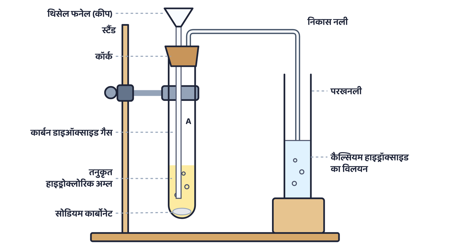 चित्र 2: कैल्सियम हाइड्रॉक्साइड के विलयन (चूने का पानी) में से कार्बन डाइऑक्साइड गैस को गुज़ारना: चूने का पानी दूधिया हो जाता है (क्रियाकलाप 2.5, पुस्तक का चित्र 2.2)