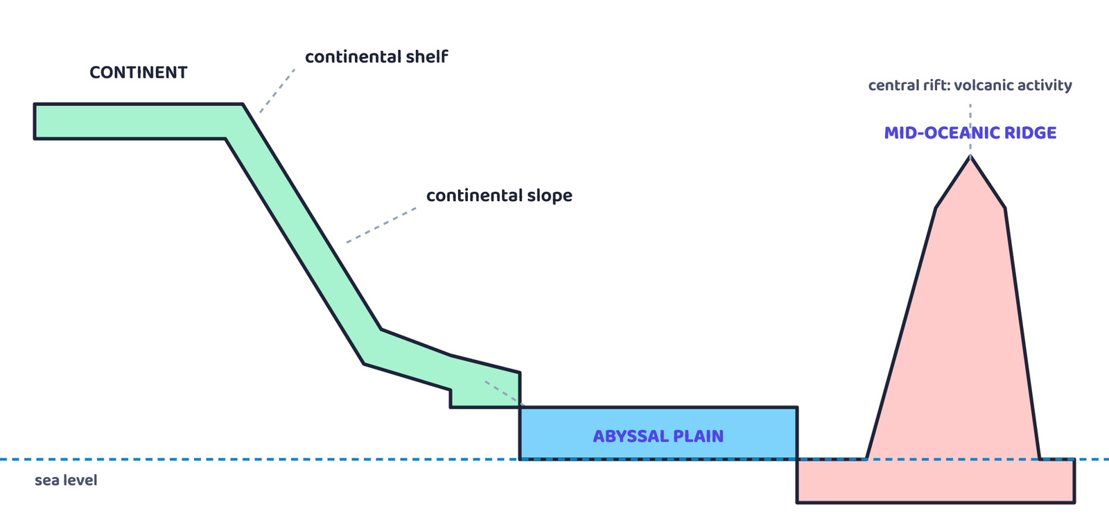 Figure 2: Schematic cross-section of the ocean floor (not to scale), showing the shelf and slope near the continent, the wide abyssal plain, and the mid-oceanic ridge rising in the middle of the ocean. This is a profile of depth, not a picture of any real country or coastline.