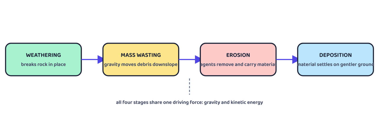 Figure 1: Denudation is the umbrella term for this whole chain: weathering, mass wasting, erosion and deposition, each with its own driving force but powered overall by gravity. A schematic process chart, not a picture of any real landscape.