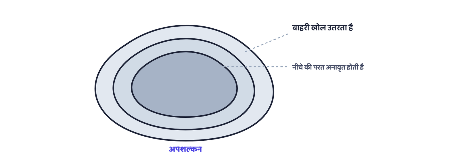 चित्र 2: अपशल्कन शैल से घुमावदार परतें उतारता है, ठीक प्याज़ की परतों की तरह, यह अभारितकरण और बार-बार होने वाले तापीय विस्तारण-संकुचन से होता है। यह एक प्रारेखीय चित्र है, किसी वास्तविक शैल-रूप का चित्र नहीं।
