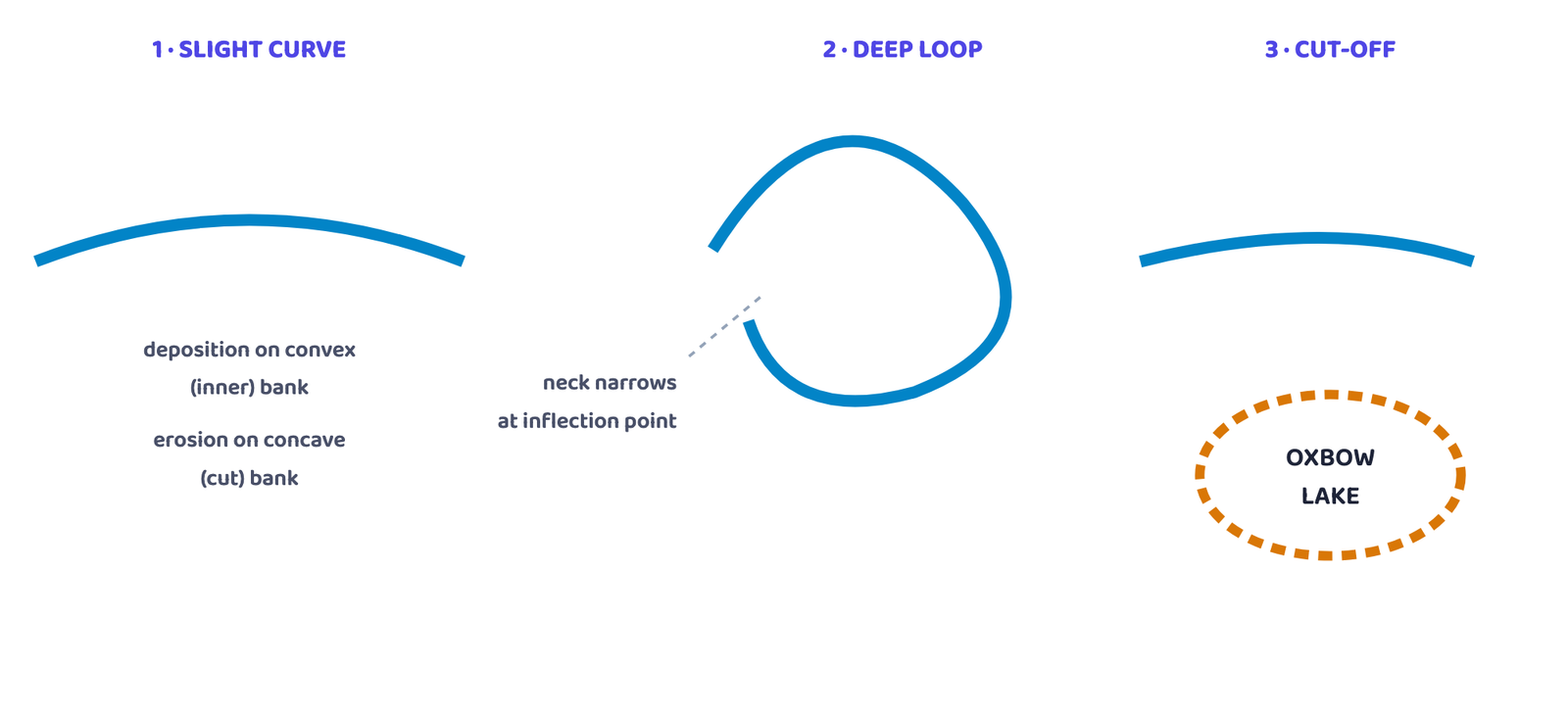 Figure 3: A meander grows into a deep loop as its outer bank keeps eroding. When the narrow neck at the inflection points finally gets cut through, the loop is abandoned as a crescent-shaped oxbow lake. Schematic stages, not a real river course.