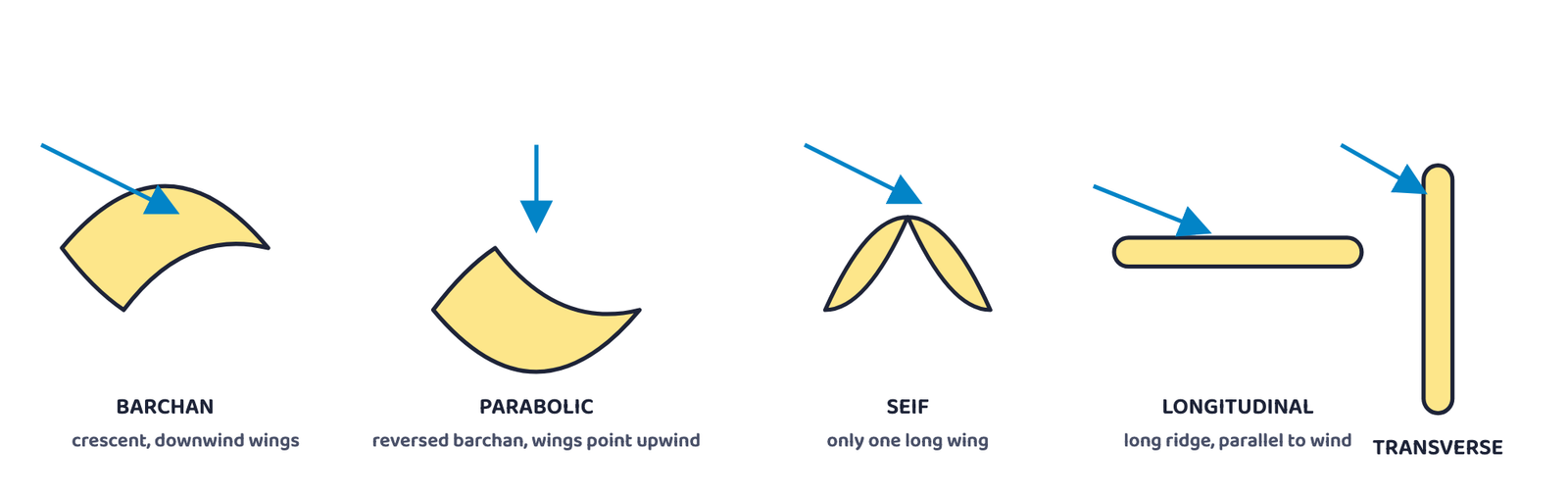 Figure 7: Five common dune shapes seen from above, with arrows showing wind direction: the crescent-shaped barchan, the reversed-crescent parabolic dune, the single-winged seif, and longitudinal and transverse ridges. Schematic outlines, not to scale.