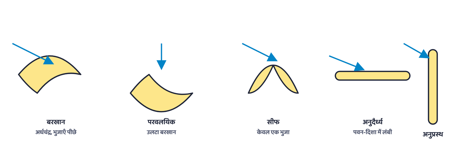 चित्र 7: ऊपर से देखे गए पाँच आम टिब्बे-आकार, तीर पवन की दिशा दिखाते हैं: अर्धचंद्राकार बरखान, उलटे-अर्धचंद्र वाला परवलयिक टिब्बा, एक भुजा वाला सीफ, और अनुदैर्ध्य व अनुप्रस्थ कटकें। ये योजनाबद्ध रूपरेखाएँ हैं, पैमाने पर नहीं।