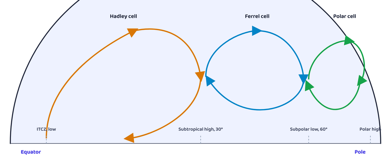 Figure 3: Simplified general circulation of the atmosphere. Three cells, Hadley, Ferrel and polar, carry heat from the equator toward the pole in one hemisphere.