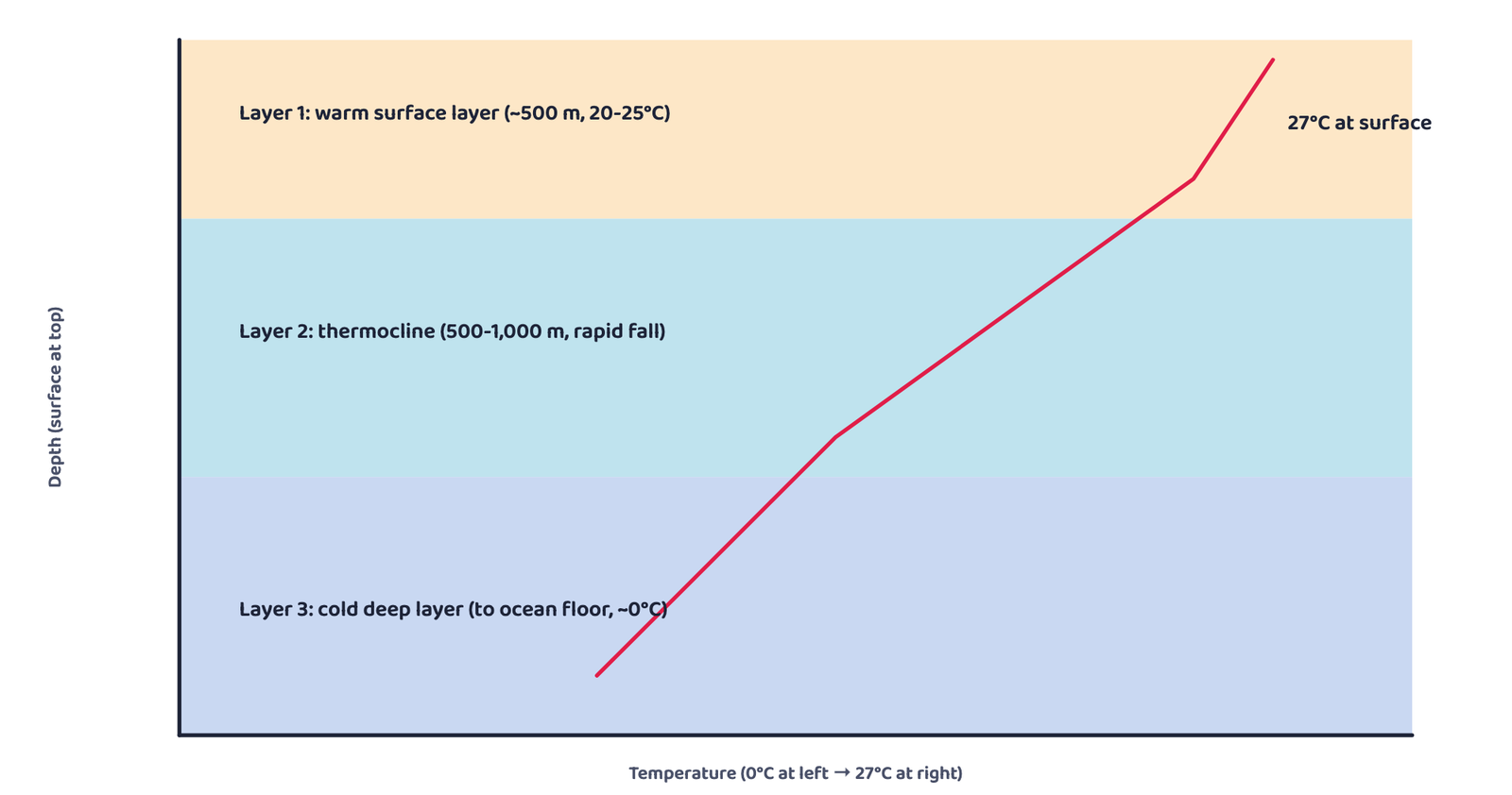 Figure 2: How ocean temperature falls with depth in three layers. The red line is the actual temperature profile; it bends sharply in the thermocline.