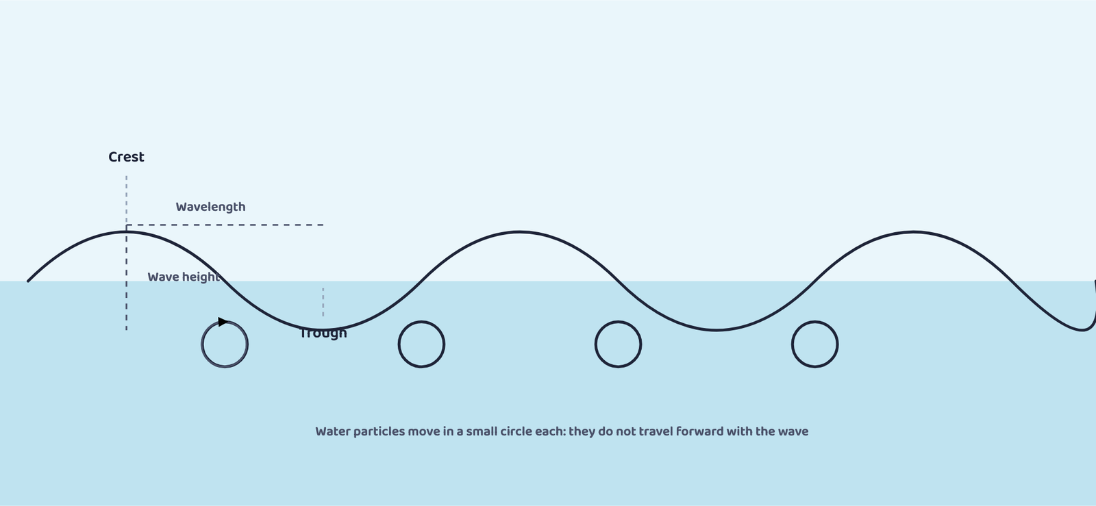Figure 1: A wave profile and the circular path of a water particle beneath it. The wave (energy) moves forward; the water does not.