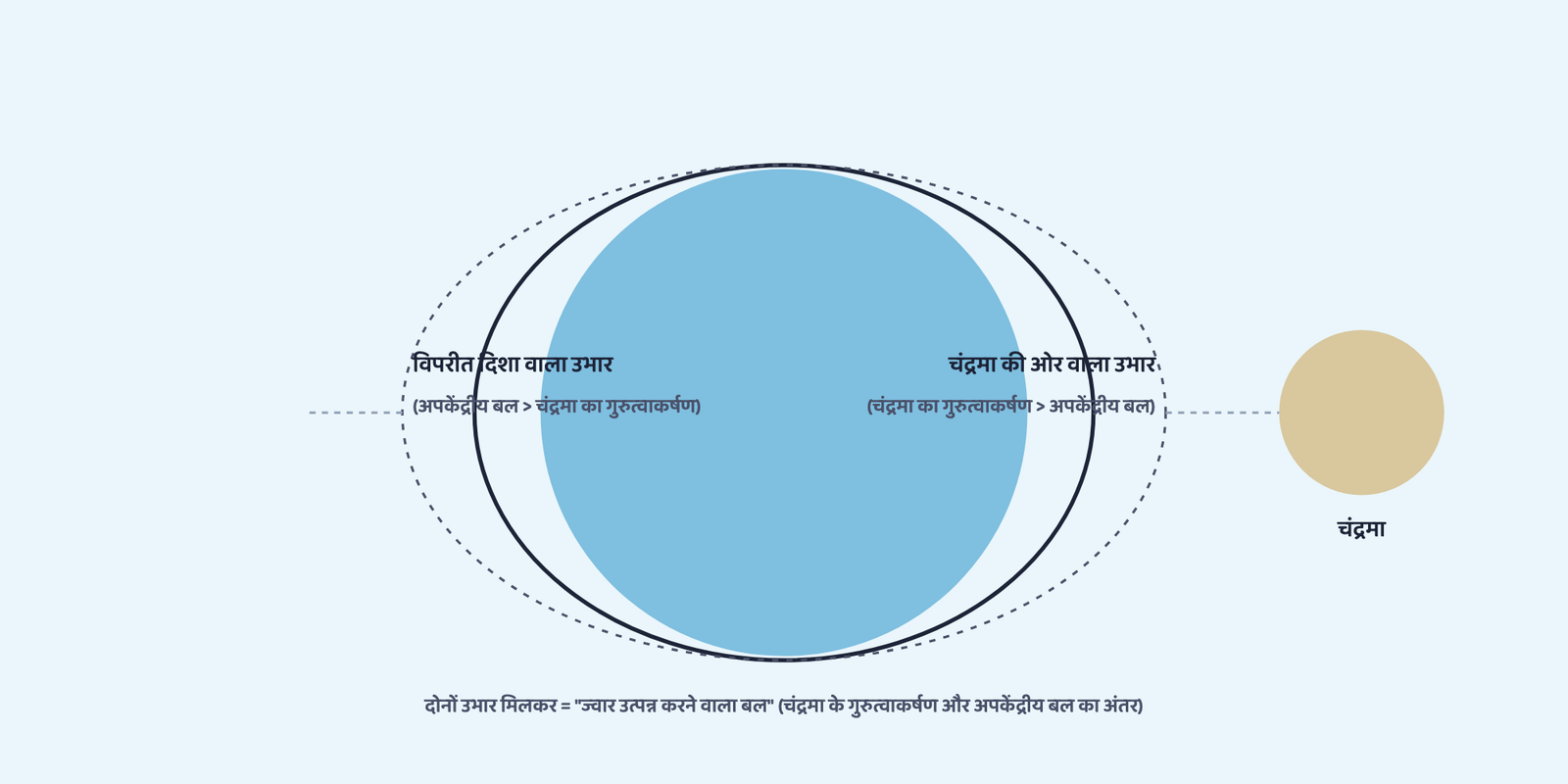 चित्र 2: चंद्रमा के गुरुत्वाकर्षण और अपकेंद्रीय बल से बनने वाले दोनों ज्वारीय उभार। पैमाने के अनुरूप नहीं।