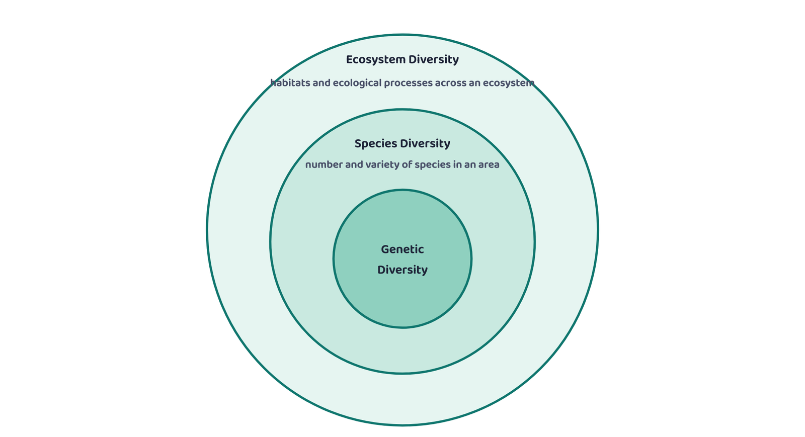 Figure 1: The three levels of biodiversity. Genetic diversity within a species builds up into species diversity within an area, and species diversity across habitats builds up into ecosystem diversity.