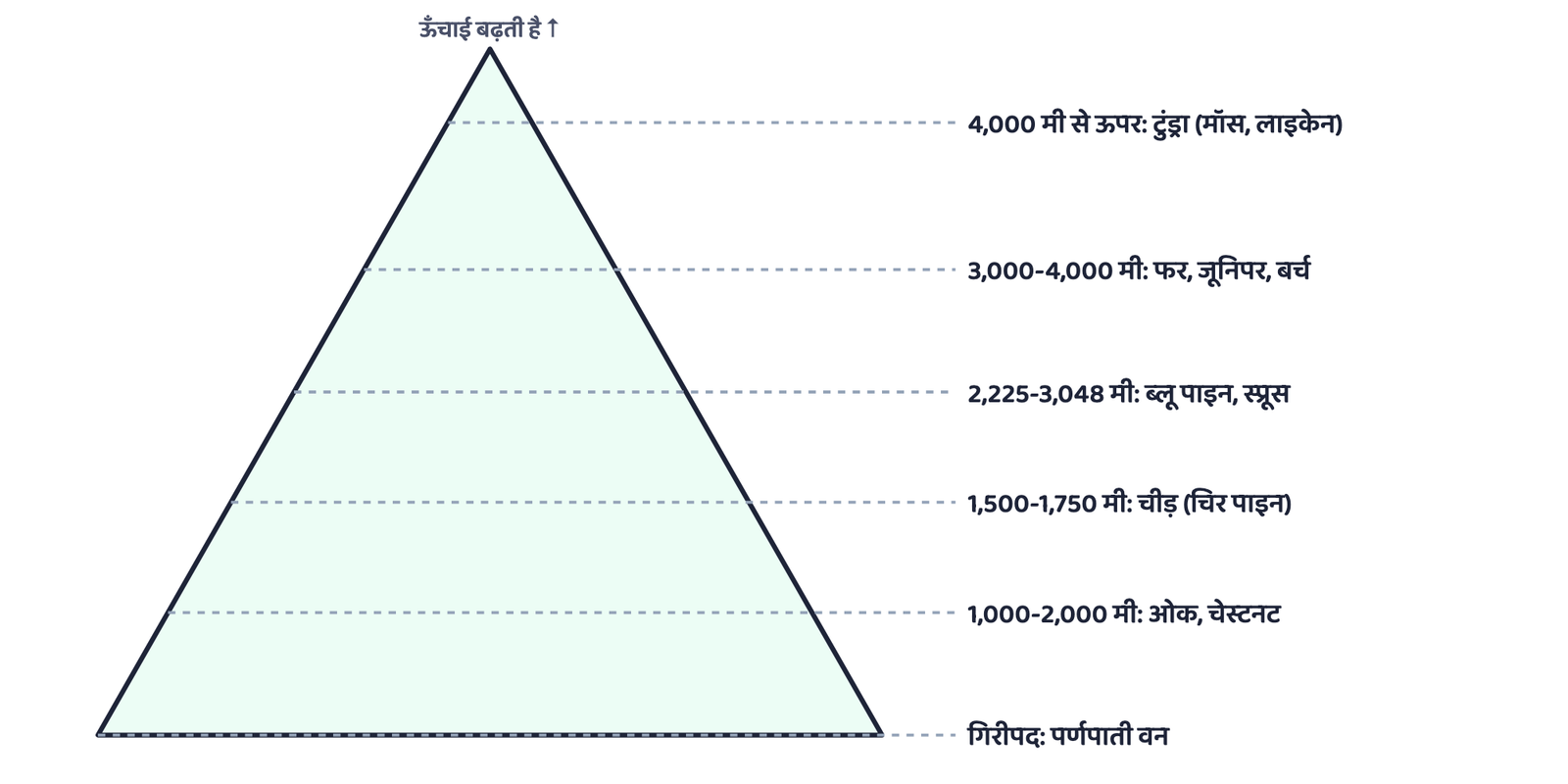 चित्र 1: ऊँचाई बढ़ने के साथ उत्तरी (हिमालयी) पर्वतीय वनों की वनस्पति परत दर परत बदलती जाती है