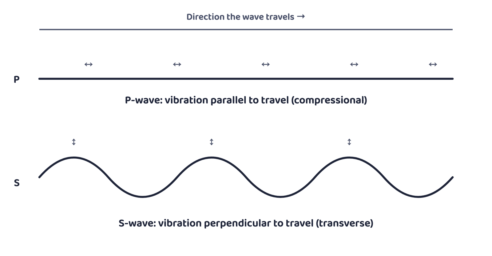Figure 1: P-waves push and pull the material they pass through, in line with the direction of travel. S-waves make the material move up and down, at right angles to the direction of travel.