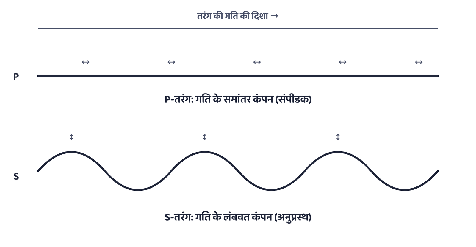 चित्र 1: P-तरंगें जिस पदार्थ से गुजरती हैं उसे गति की दिशा में धकेलती और खींचती हैं। S-तरंगें पदार्थ को गति की दिशा के लंबवत ऊपर-नीचे हिलाती हैं।