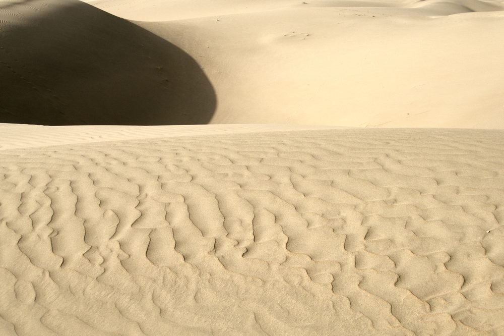 Shifting longitudinal sand dunes of the Thar Desert (Marusthali), Rajasthan. Photo: Vyacheslav Argenberg / Wikimedia Commons / CC BY 4.0.