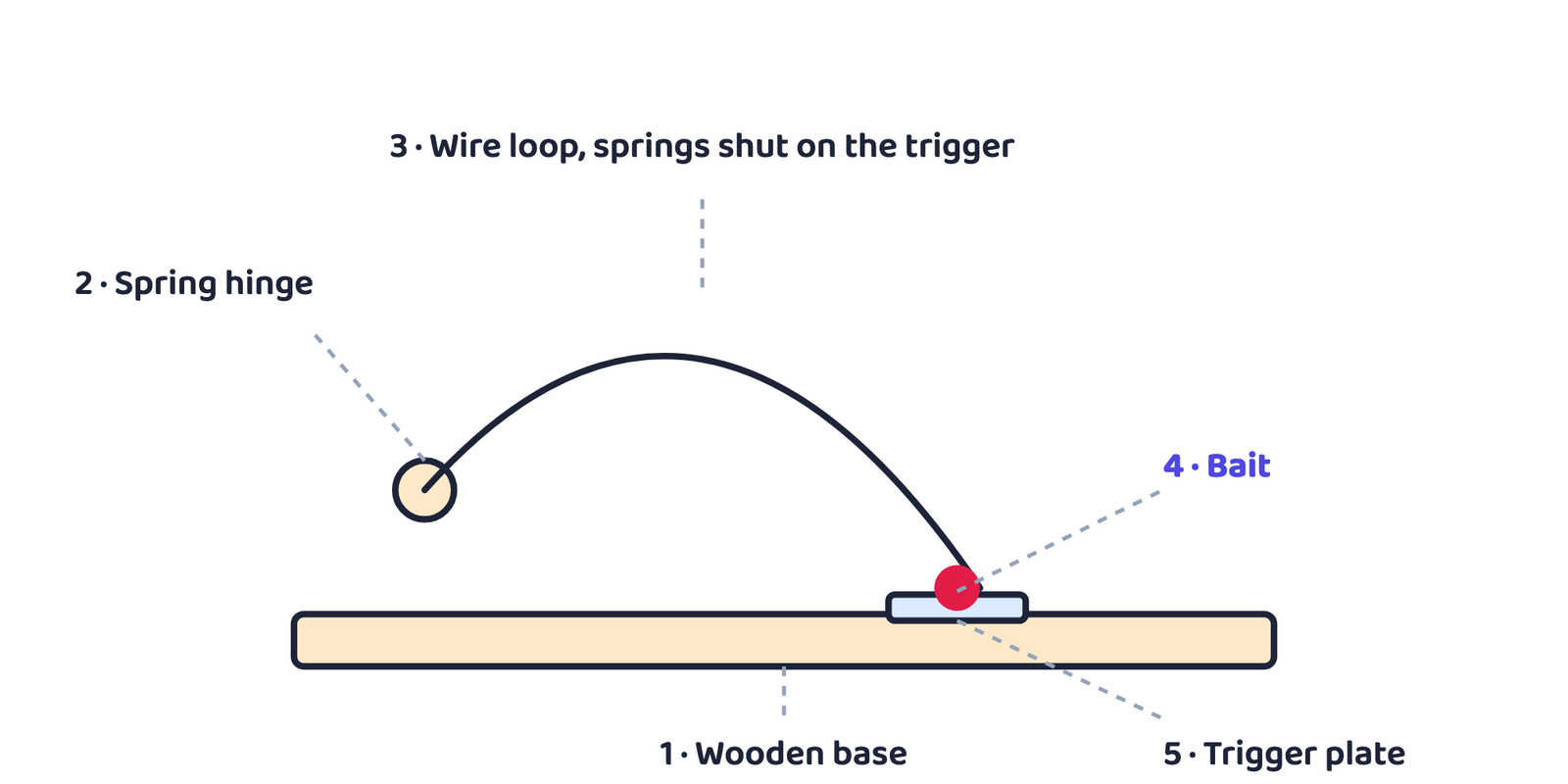 Figure 1 (a general diagram, not from the book): How a wire rattrap works. The loop springs shut the moment the bait on the trigger plate is disturbed, the "bait and trap" idea the peddler applies to the whole world.