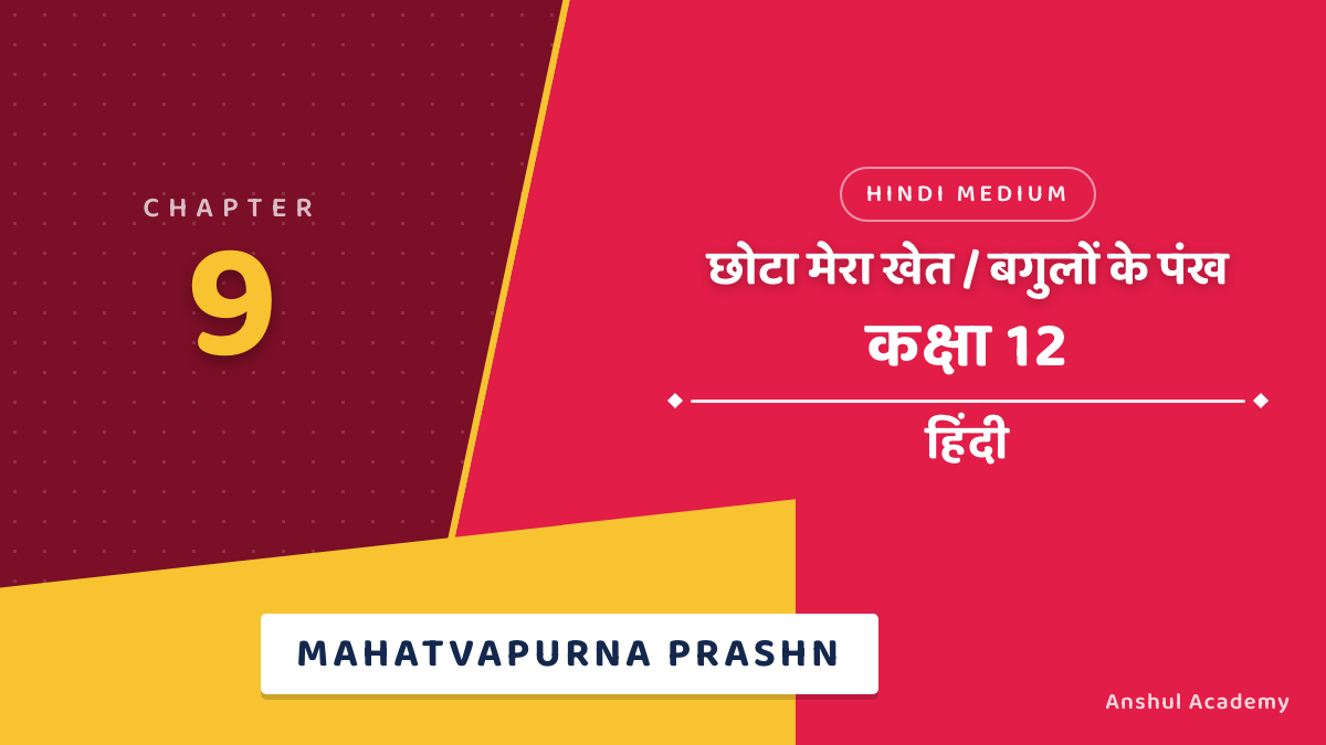 कक्षा 12 हिंदी अध्याय 9 छोटा मेरा खेत एवं बगुलों के पंख महत्वपूर्ण प्रश्न उत्तर सहित (Important Questions with Answers) हिंदी में